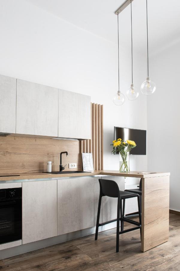 Appartement Ultracentral Studio Iuliu Maniu à Cluj-Napoca Extérieur photo
